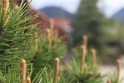 Constructii si teren  intravilan18.000 mp - 1