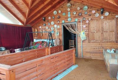 Proprietate de vacanta Valea Oltului - BREZOI - 12