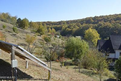 Topoloveni - Conacul Ion Mihalache, Domeniu pe 5 Hectare! - 41