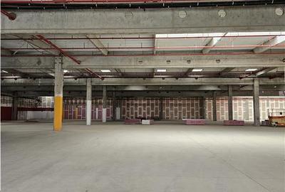 Spatiu Industrial - 7000 mp - Logistica - Productie - Depozitare - Distributie - 9