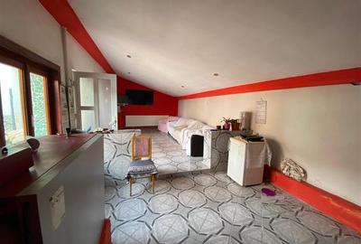 Iaz, Casa la Curete, 9 Camere, Teren 2892 Mp - 24