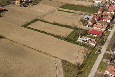 Loc de casă în Odvoș - Conop 3000mp - 28