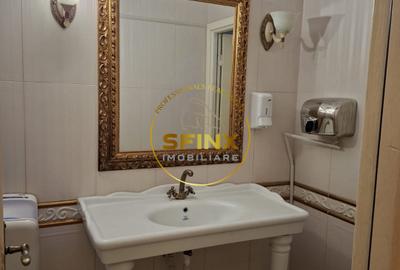 Spatiu Premium 450Mp de Inchiriat Hala Traian - 9