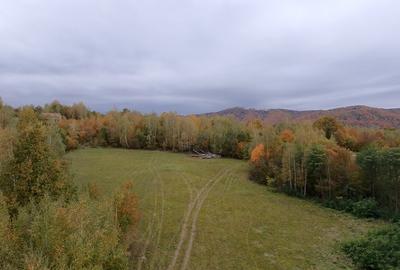 Teren ideal recreere/conectare cu natura/zona Fagaras/achitare in rate - 12