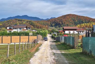 Teren 1000mp cu PUZ in Rasnov, Glajerie - 7
