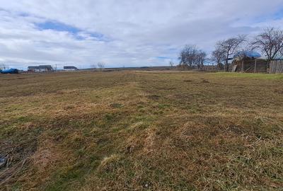 Casă locuibilă și teren generos 3933 mp – Com Curtești, Sat Curtești - 1