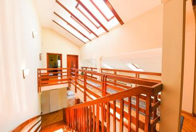 Vila/Proprietate Speciala, 500mp utili, 3300mp teren, Sangeorgiu de Ms - 15