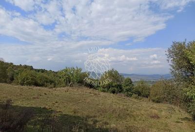 Teren  42,200 mp (4,22 hectare)-Parcelabil-investitie-Valea Jelnei - 4