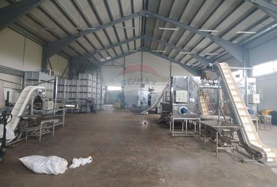Spațiu industrial-depozit de 1120mp de închiriat în Dumbrăveni, SV - 33
