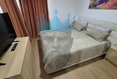 Apartament 2 Camere Calea Calarasilor Bucuresti - 14