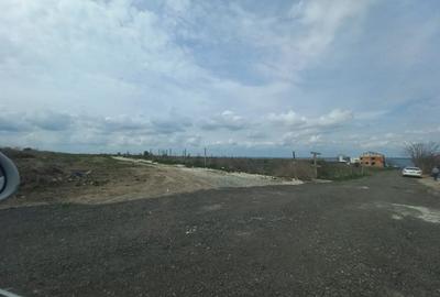 Teren de vanzare in Constanta, Palazu Mare - 500 mp - 1