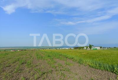 Teren 5000 mp in apropiere de case in Sura Mica - pretabil investitie - 1