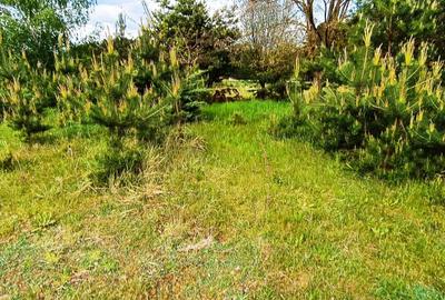 Teren in localitatea Reci,langa lacuri - 9