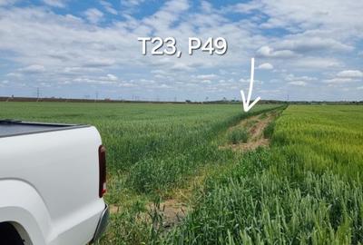 Proprietar, terenuri agricole extravilane, cadastru si intabulare, A0 - 9