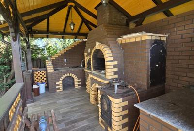 Casa de Vis, Serbanesti - 6