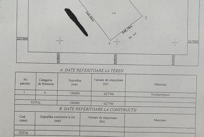 Teren agricol 19Ha comasate 346mx548m la 800m distanta fata de DN2 - 1