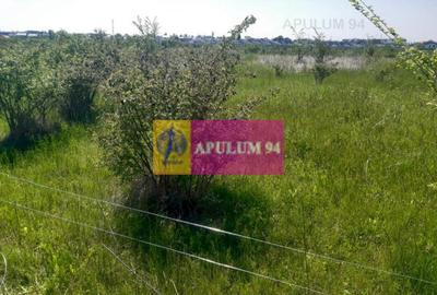 Teren bun mare și ieftin - 12