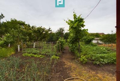 Casă cu 5 camere – Sântana centru, jud. Arad - 19