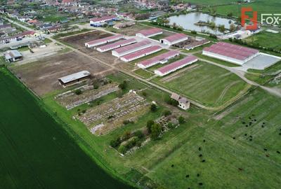 Teren intravilan cu suprafata de 58.340 mp, in Sanmartinul Sarbesc - 12