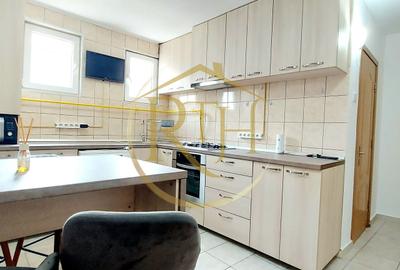 Oferim apartament cu 1 camera, langa Iulius Mall, centrala proprie pe gaz - 13