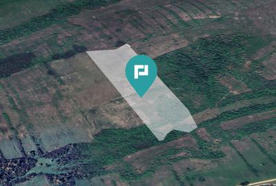 Teren arabil de 11,3 hectare în Bara, Timiș - 1