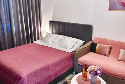 Garsoniera Dristor l Parcare l Pet Friendly - 1