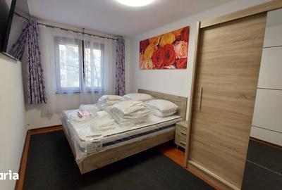 Închiriere Apartament cu 2 camere, renovat, etaj 2, balcon inchis, Titan metrou - 14