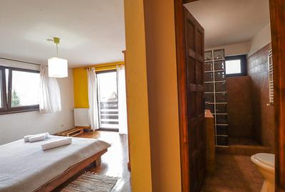 Vila - Busteni - 3