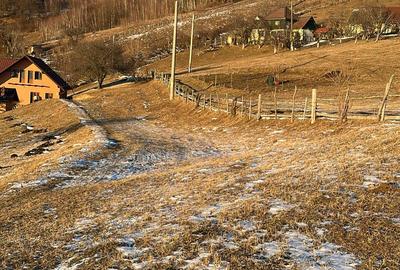 Teren de vânzare în sat Măgura/ Brasov– loc pentru familie, liniște și suflet - 30