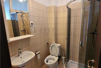 INCHIRIERE APARTAMENT 3 CAMERE CENTRAL PARK - 8