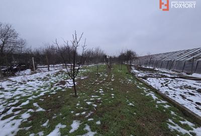 Casa individuala cu 5 camere de inchiriat zona Aradul Nou - 8