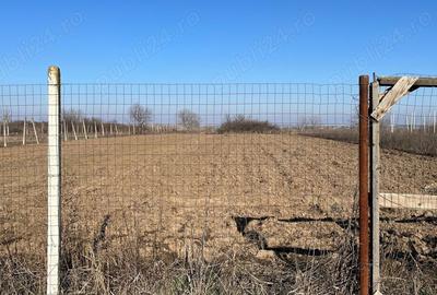 Teren intravilan la 20 km de Bucuresti 4700mp, intre case, toate utilitatile - 4