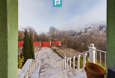 Casă de vacanță în Moneasa - 2