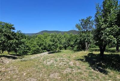 TEREN INTRAVILAN DEVANZARE 33161 MP DE VANZARE TARGU OCNA - 36