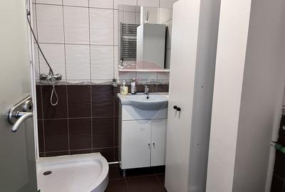 Vila de închiriat 6 camere Piata Victoriei - 19