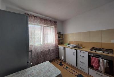 Casa spatioasa la 15 km de Timisoara - 10