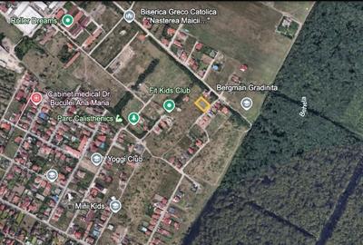 Dumbravita Teren Intravilan 1466mp Front 29m | Langa Padure - 12
