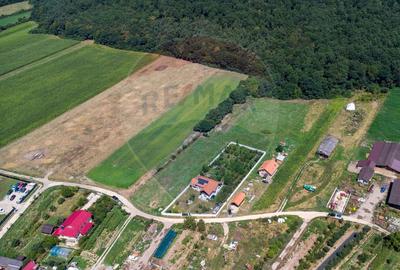 Teren intravilan Balata /Hunedoara - 13