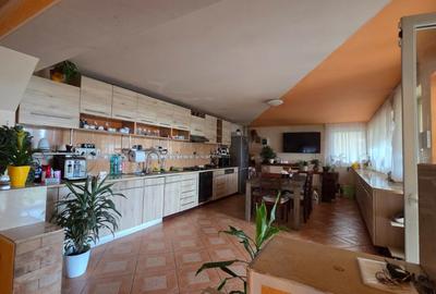 Casă cu mansardă de vânzare – zona Lucian Blaga - 20