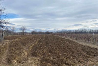 Casa situata in orasul Targu-Carbunesti , Localitatea Floresteni - 6