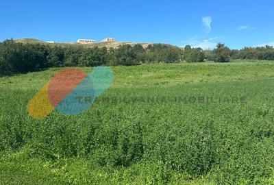 Teren intravilan 2550mp in Sopor - 3