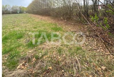 Teren intravilan pentru casa zona linistita 550 mp front 21 m Cisnadie - 5