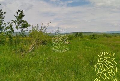 Teren 13100 mp-parcelabil-ideal cabana/agricultura-Orheiul Bistritei - 2