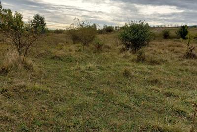 Teren 350 mp, Borhanci! - 2