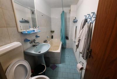 VANZARE 2 CAM 13 SEPTAMBRIE- NEDELEANU ION - 10