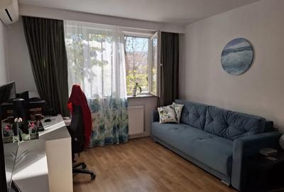 Blv. Camil Ressu, Dristor metrou, - 1