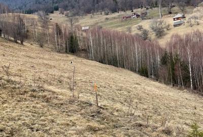 VÂNZARE TEREN CU POTENȚIAL DE DEZVOLTARE ÎN ZONA TURISTICĂ MAGURA-PESTERA - 13