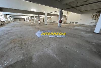 HALA DE INCHIRIAT I 2100 MP I ALBA IULIA I ZONA CENTRU I - 18