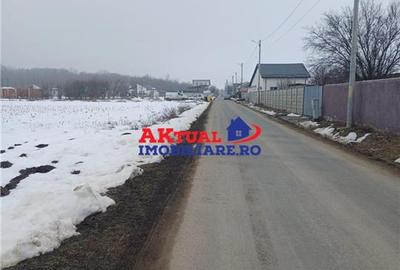 Vanzare Teren-8100mp-Domnesti -Teghes - 4