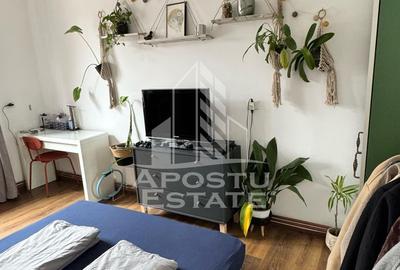 Casa tip duplex, P+M, 5 camere, zona Favorit. - 22